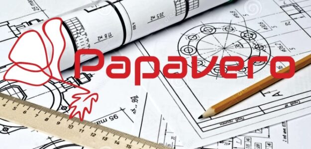 Papavero